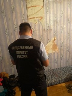 Житель Ижевска признан виновным в убийстве сожительницы и совершении преступлений против половой неприкосновенности ее дочери