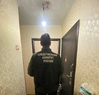 В Ижевске женщина обвиняется в причинении тяжкого вреда здоровью, повлекшего смерть